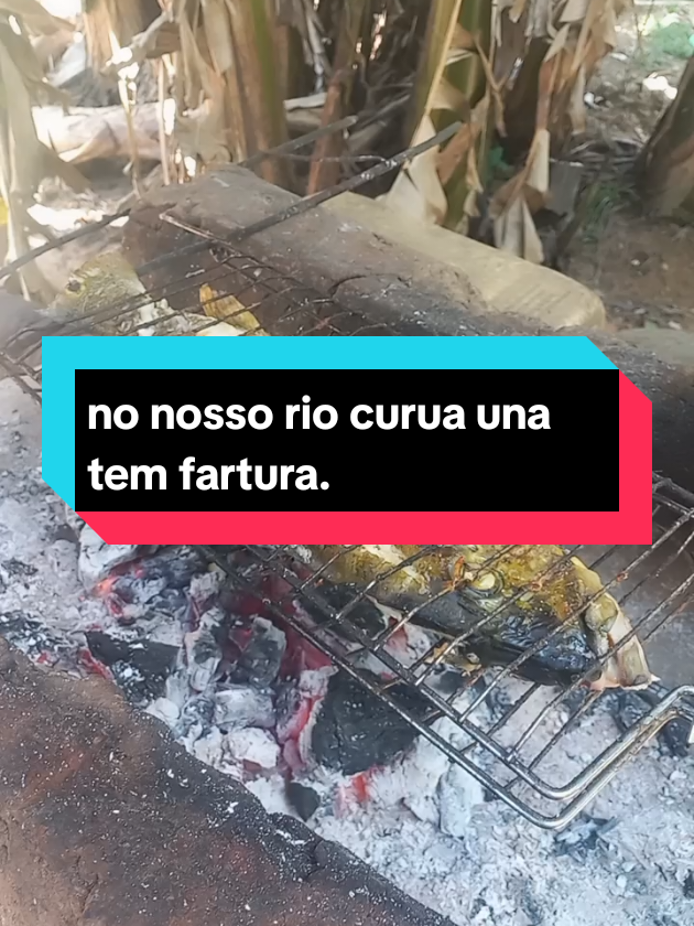@menina do interior