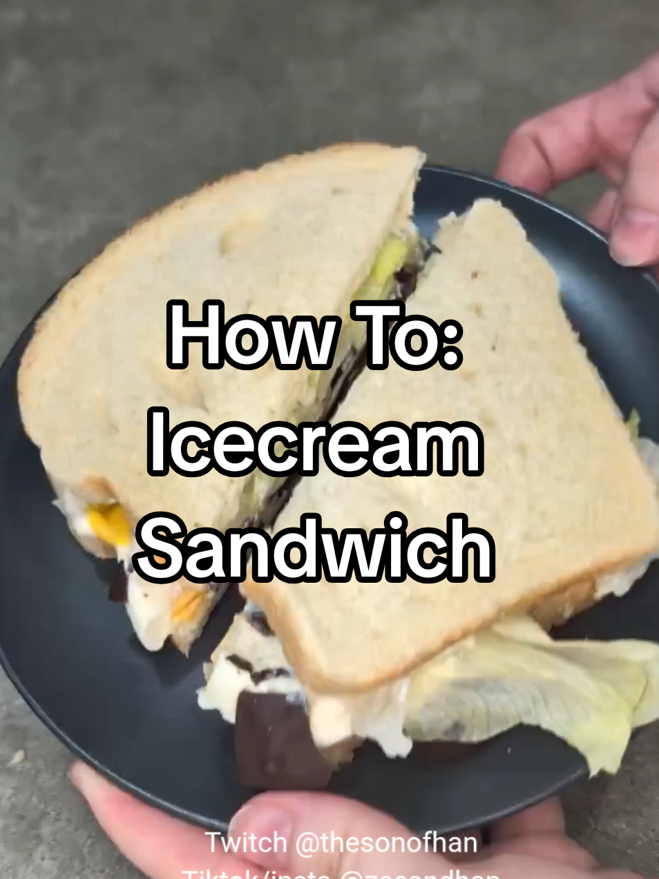 @Zee | Twitch @ TheSonOfHan