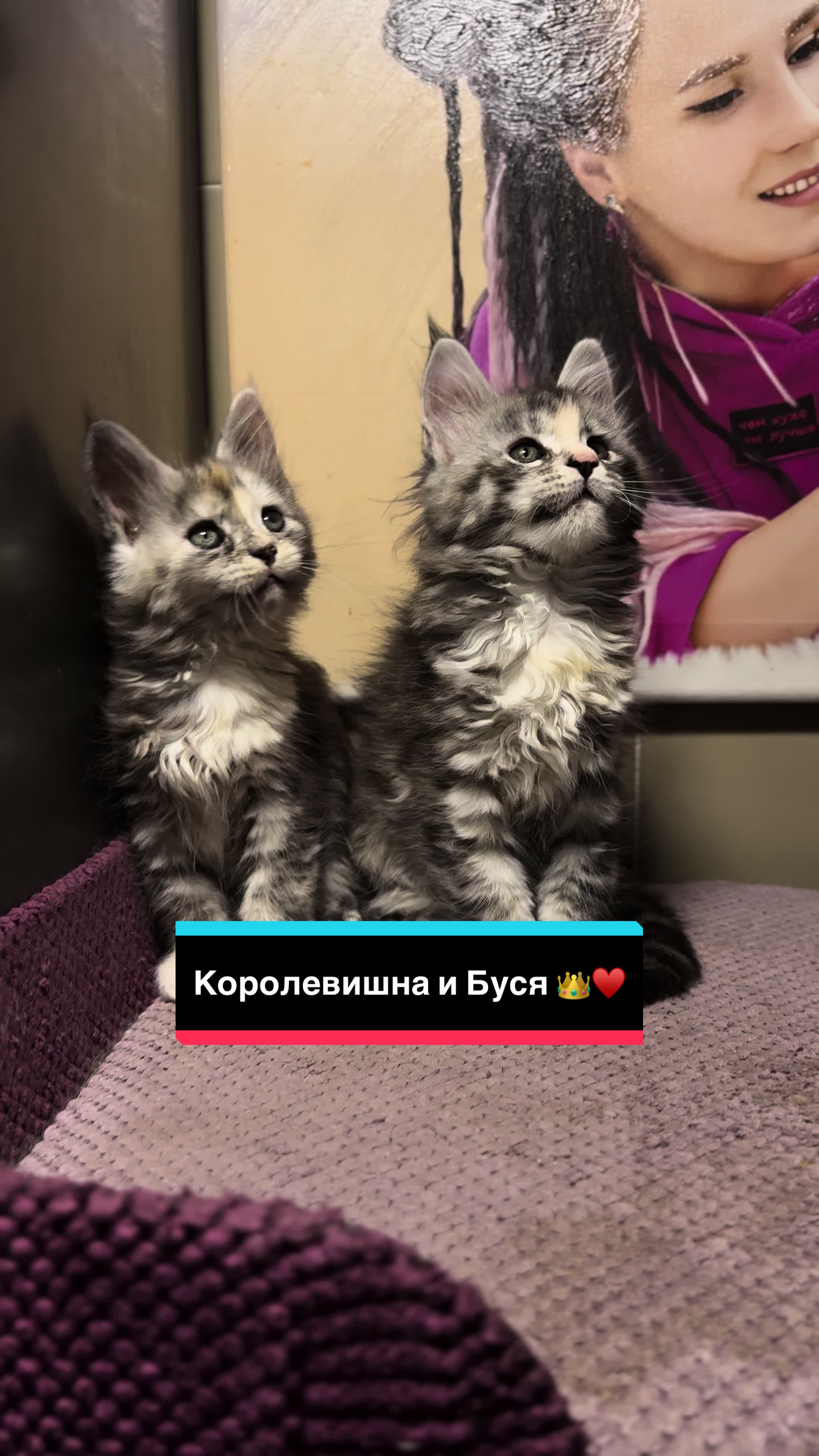 @Infinity Glory 🇺🇦