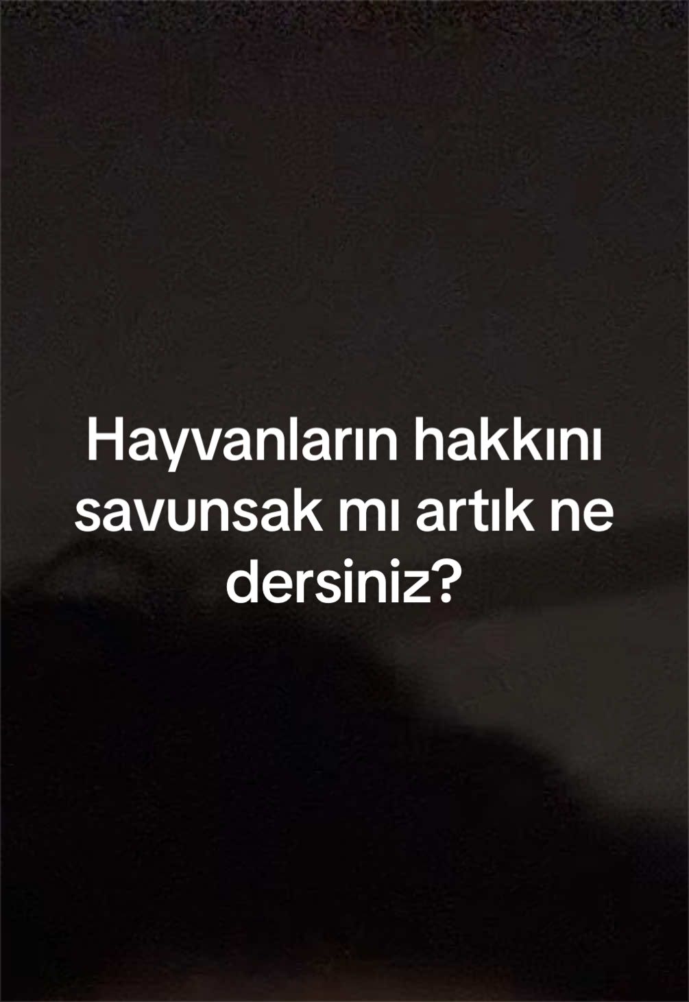 @bimdekibarbiee