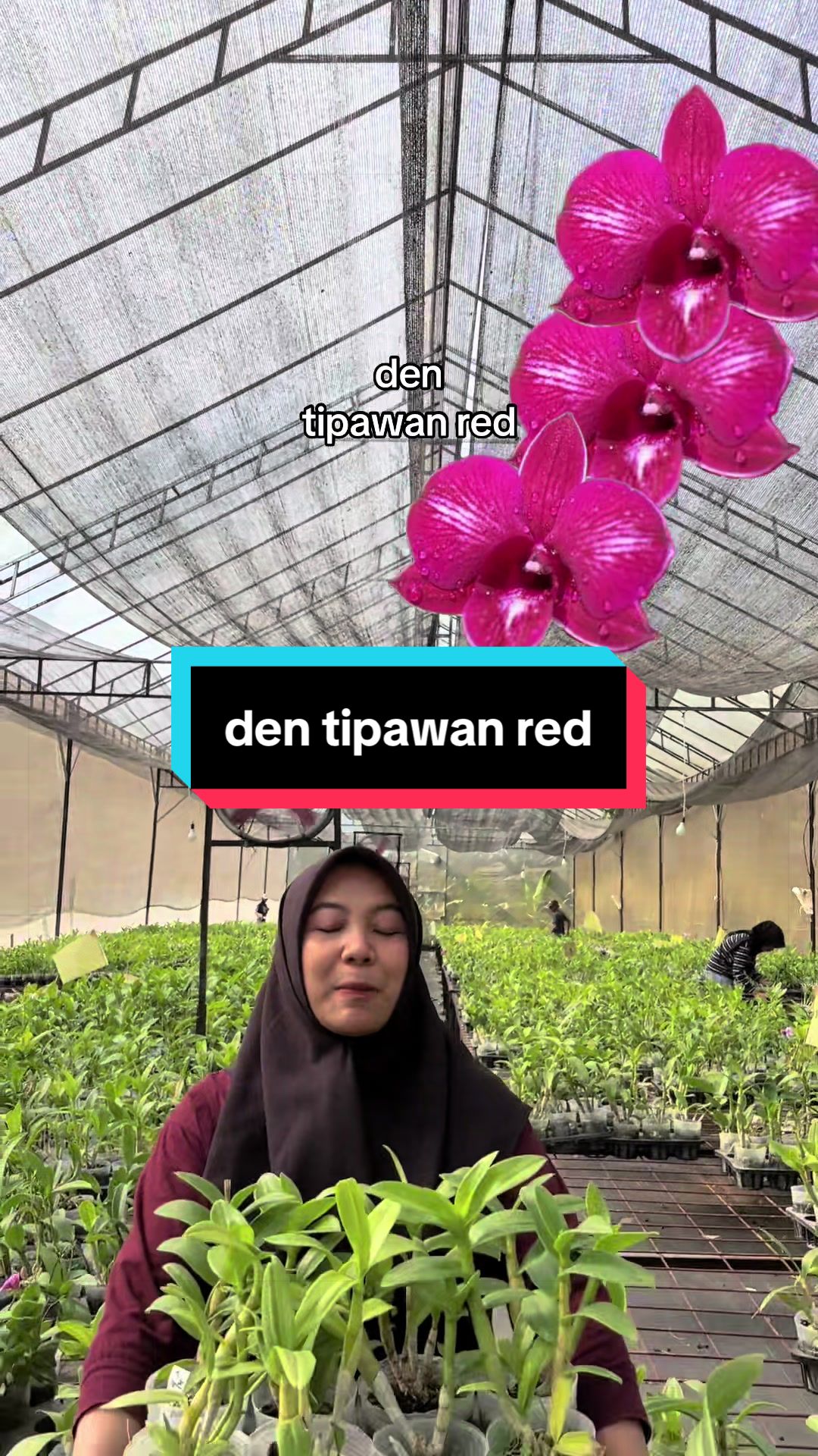 @Griya sekarindo utama