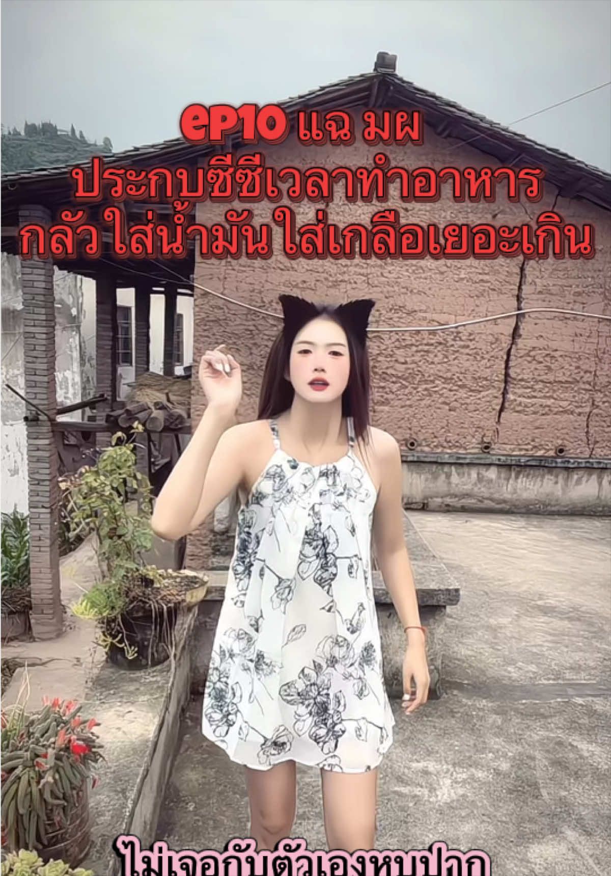 @น้องเหมย สะใภ้จีน