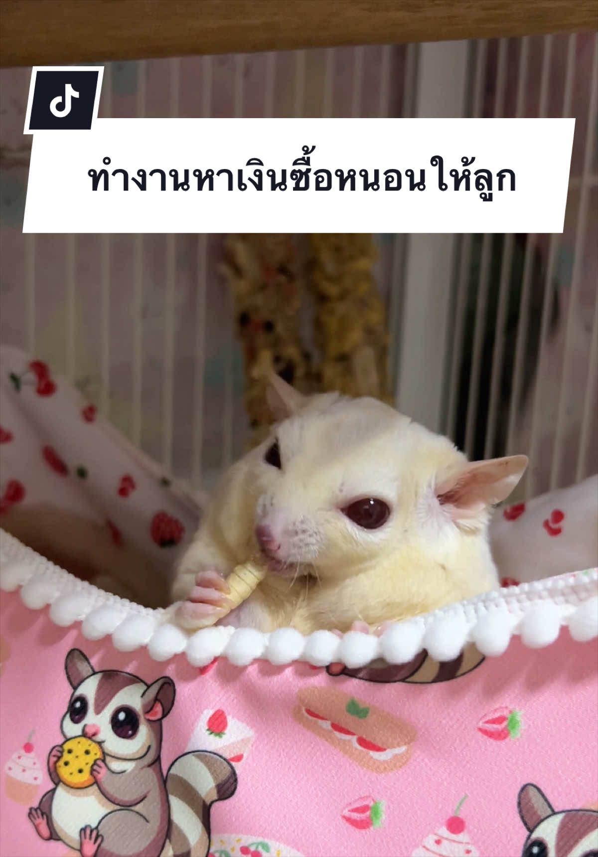 @anniezwoo