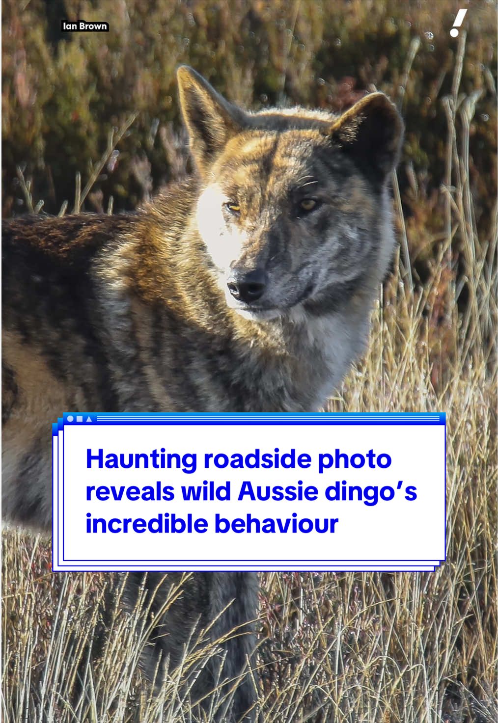 @Yahoo Australia