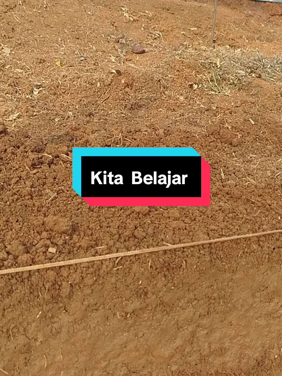 @SenimanPertanianCikancahTV