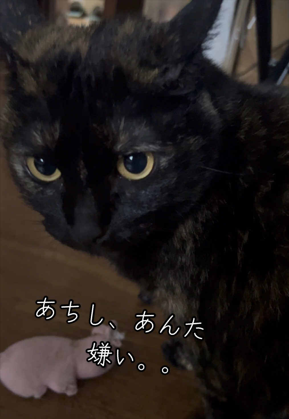 @聴々物語PROJECT