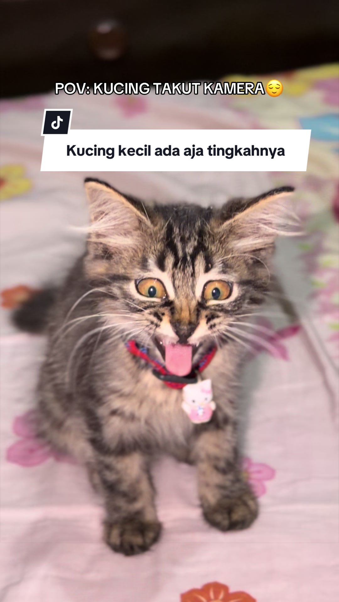 @lailarahmawati