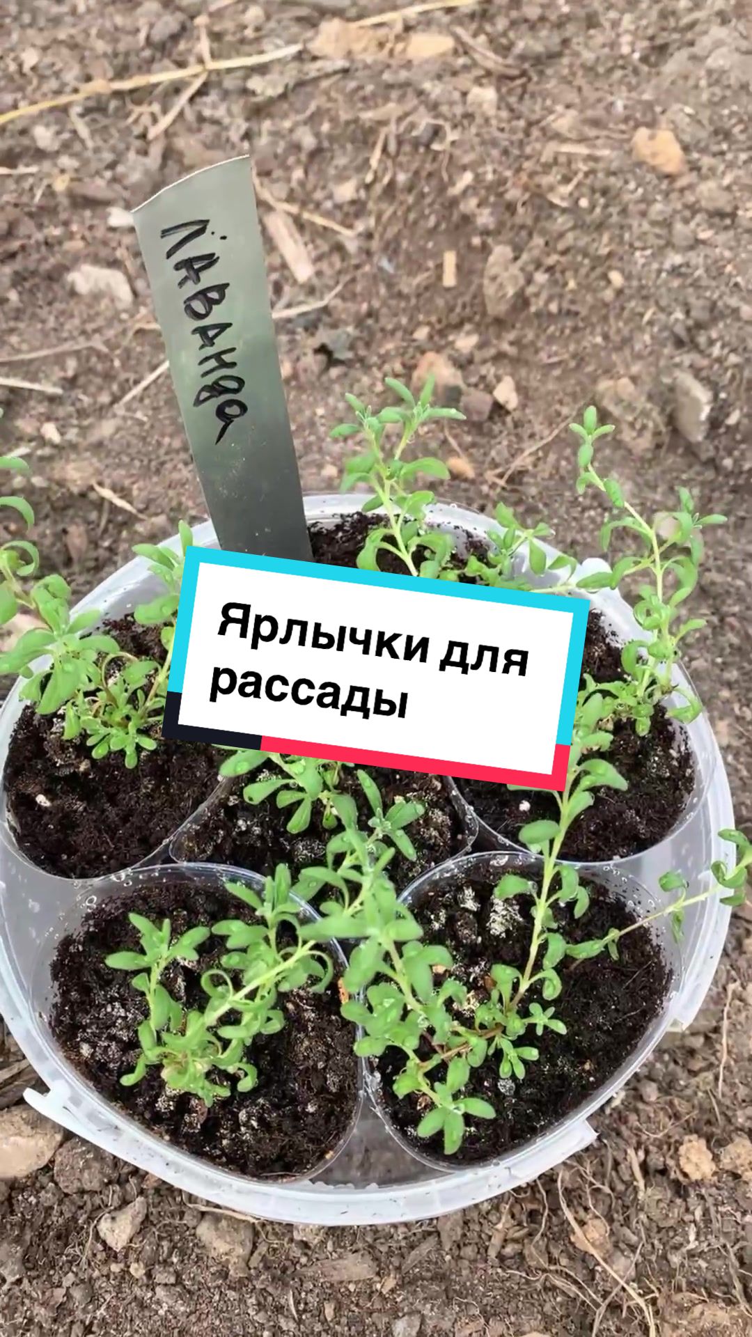 @Nina Letovsemusvetu