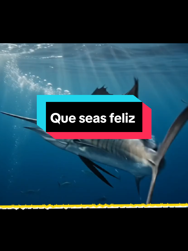 @🎼 Charly 🎼