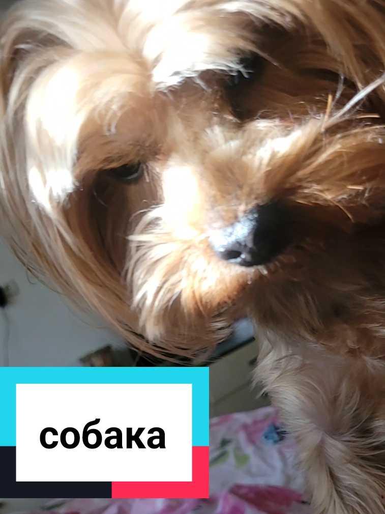 @Світлана