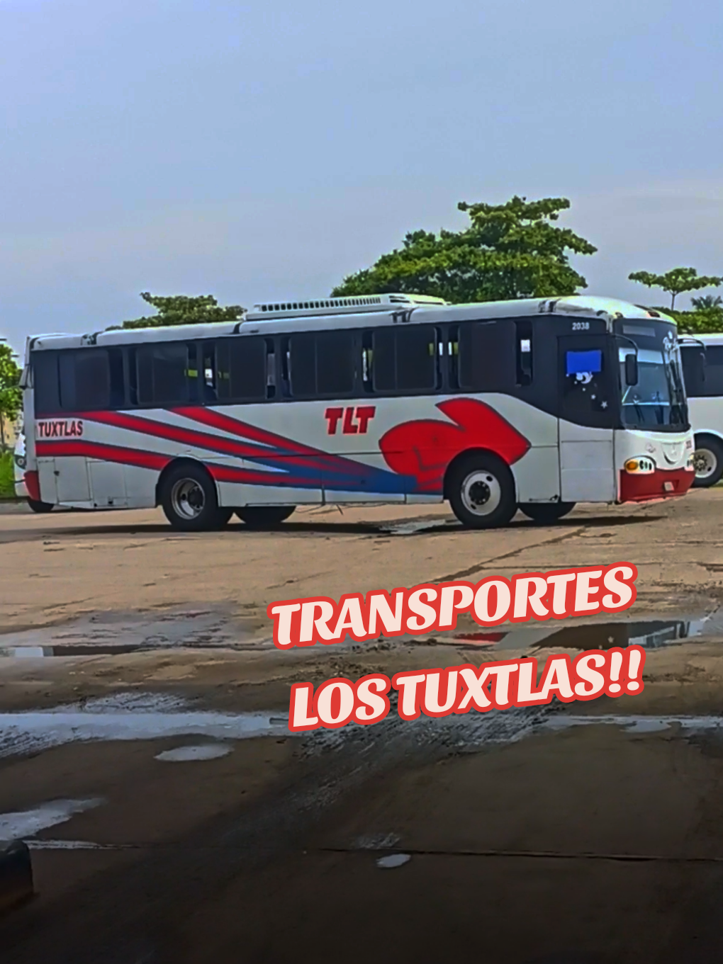 @Busologia Veracruzana 🍀🚍