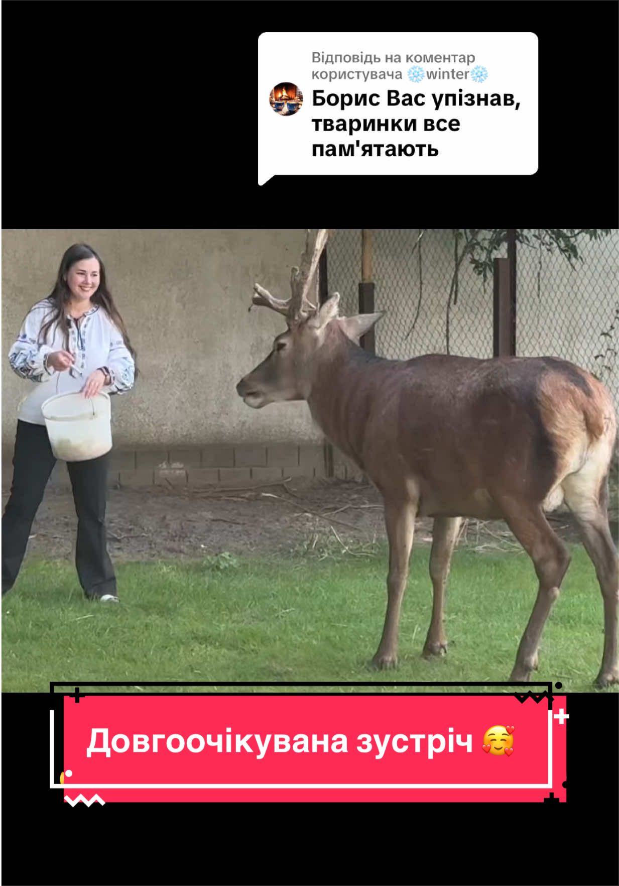 @Tokmina Iryna