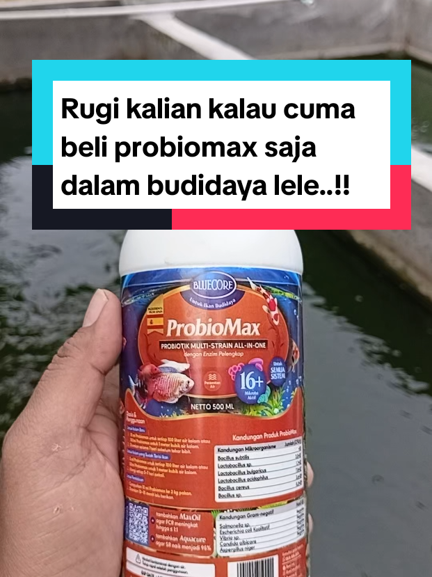 @Kang_Ewi
