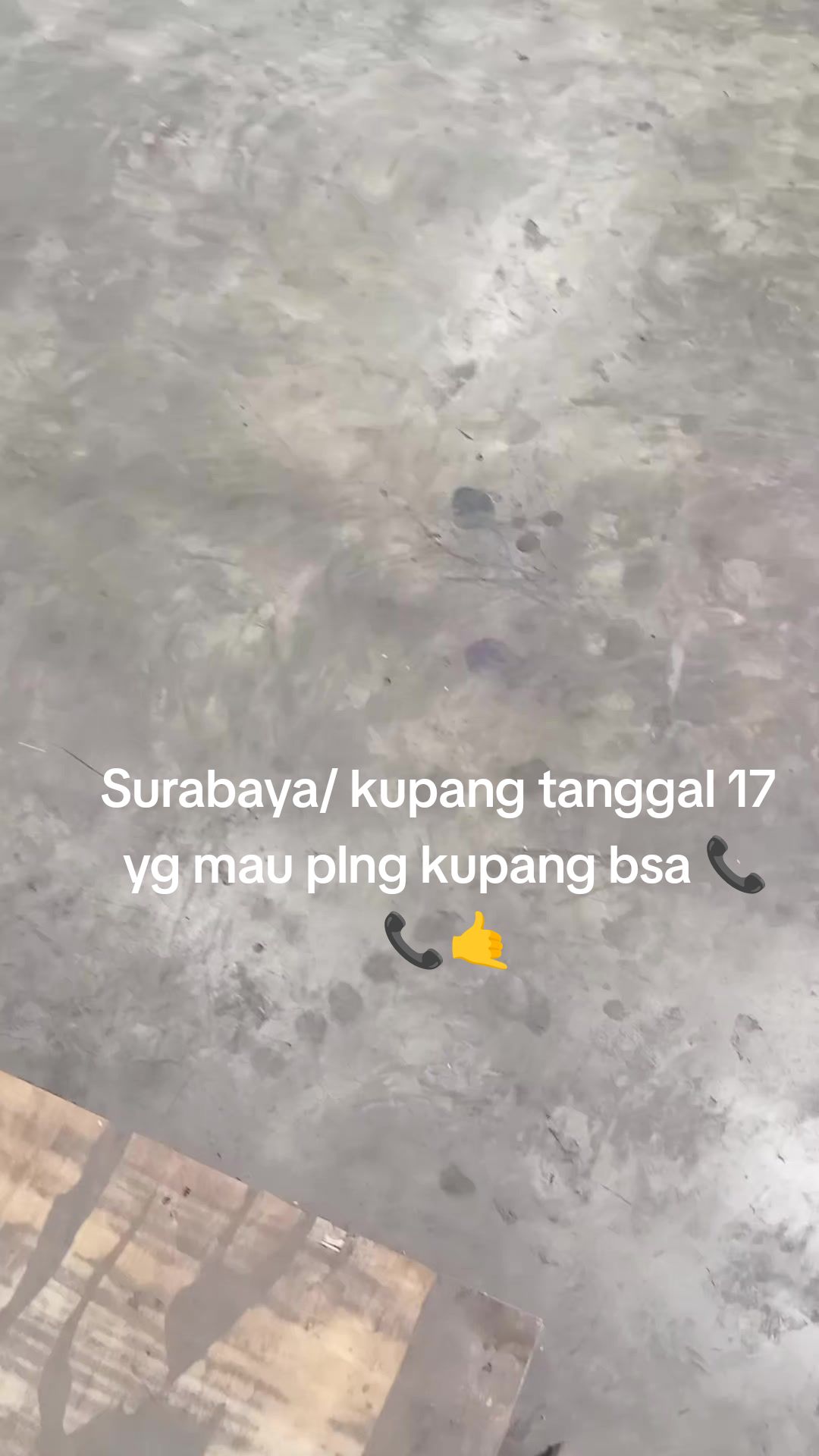 @borgol