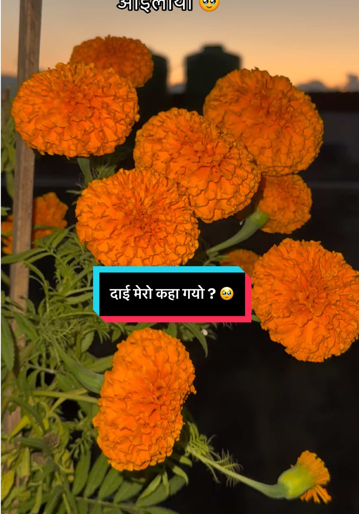 @Anushka🧿🪬