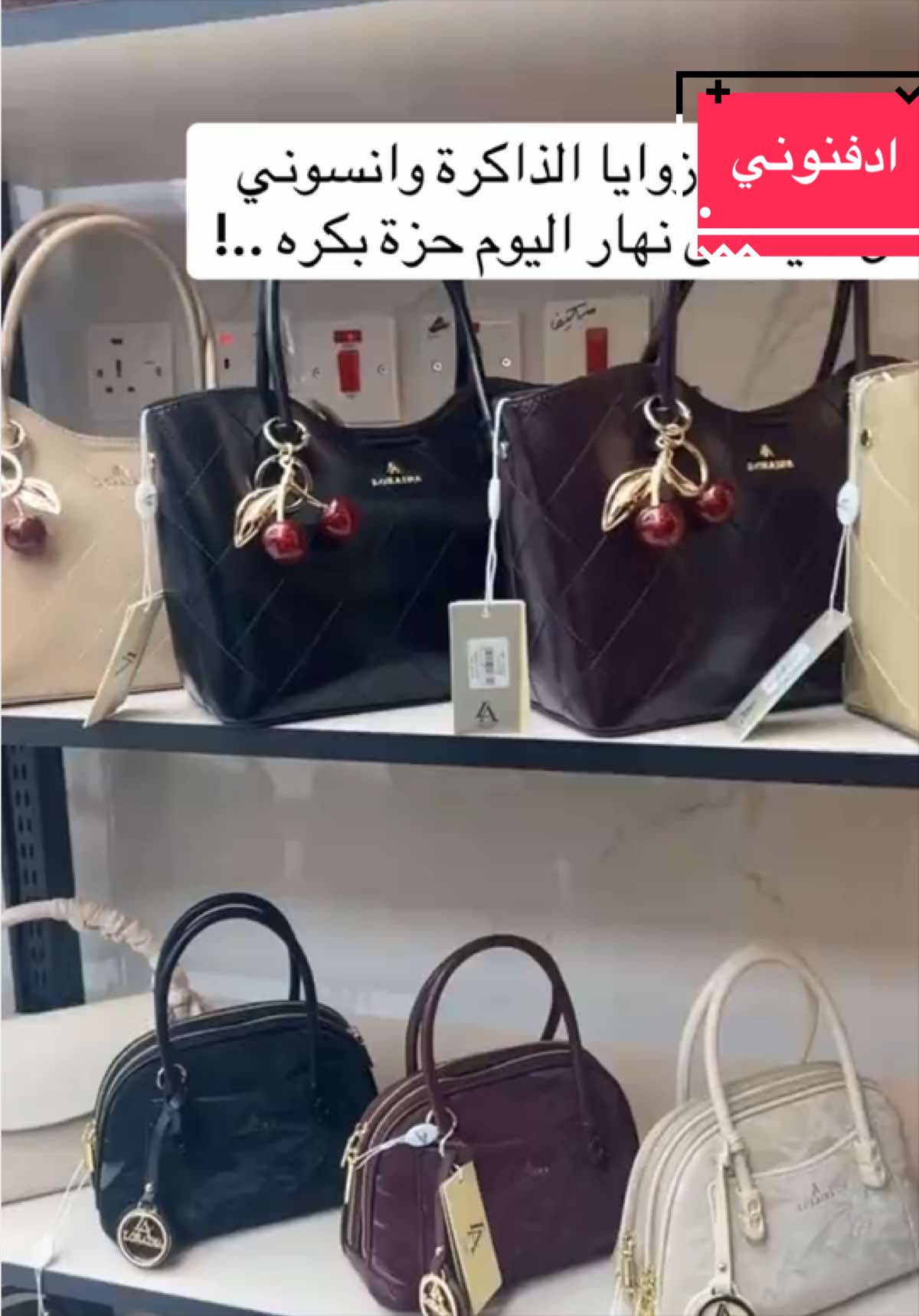 @شوق الشيباني 𓃴♡: