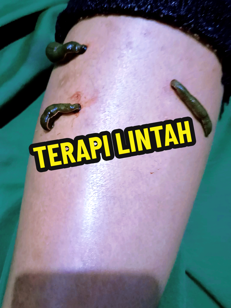 @ERNI : PUSAKA LOMBOK T.T