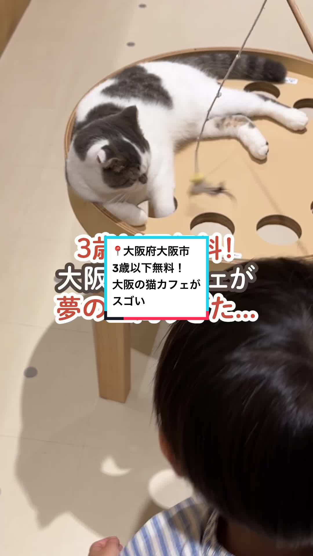 @関西子連れお出かけガイド👨👩👧👦MAPPY
