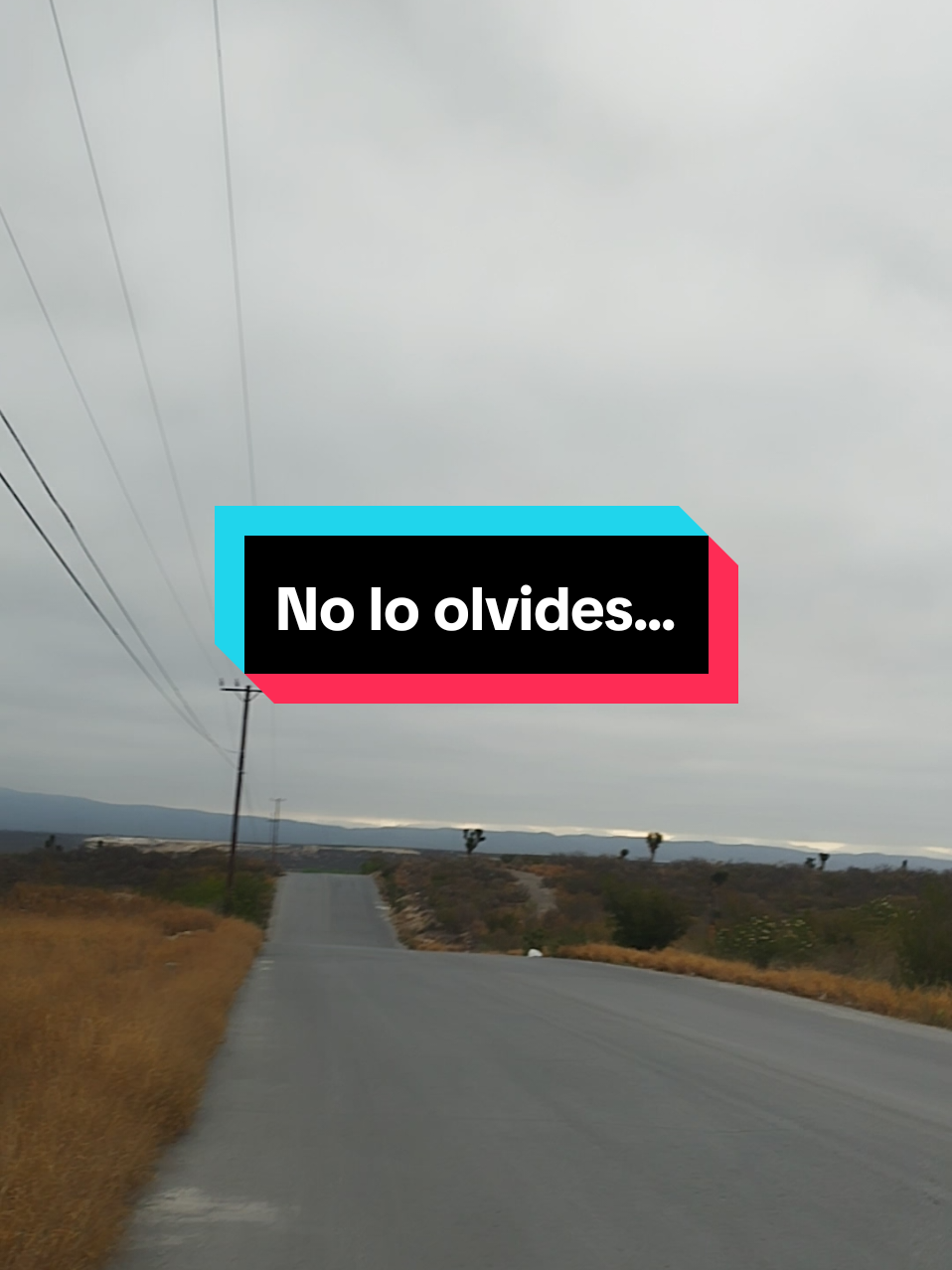 @Nela Hdz