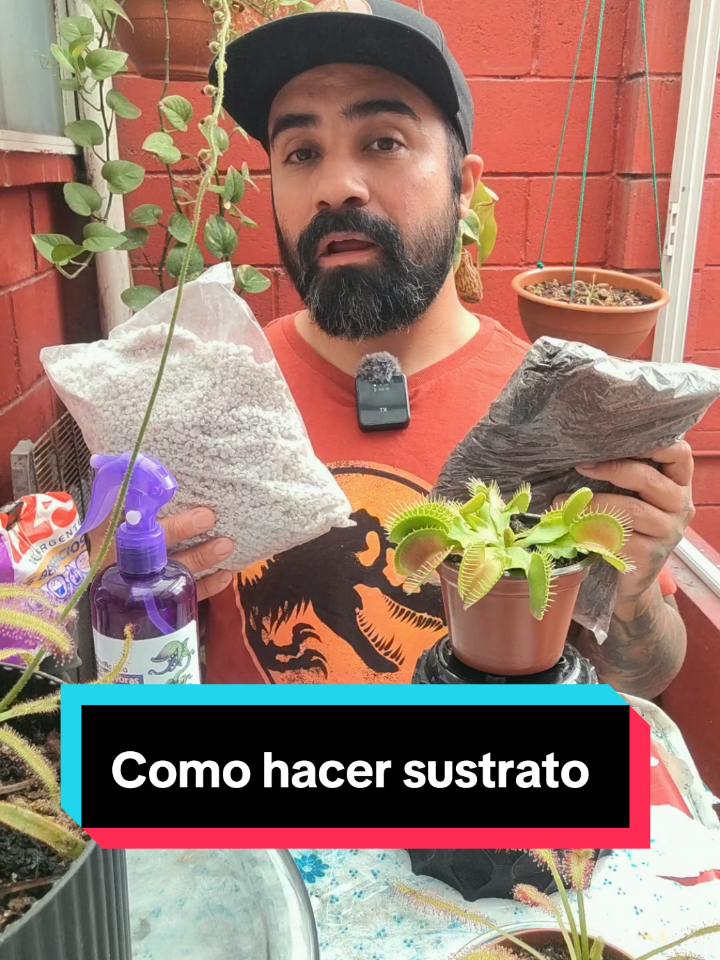 @Tortubalance