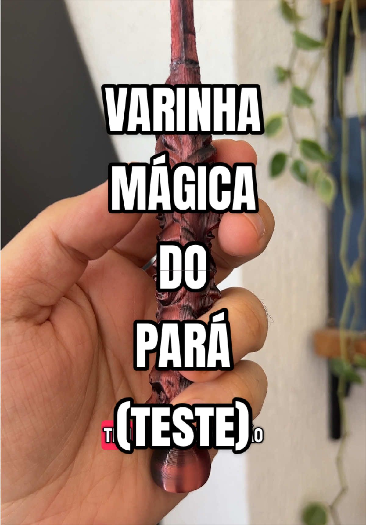 @Kaio Medau