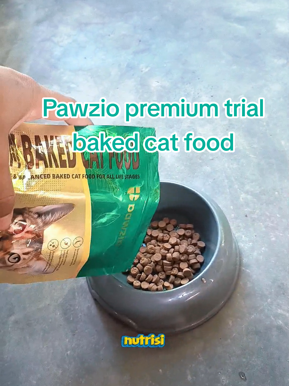 @Medayo Petcare