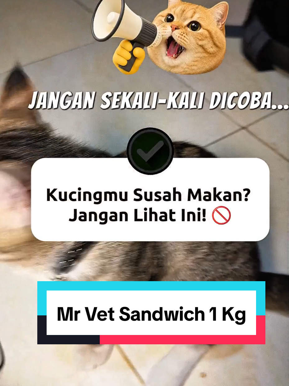 @Medayo Petcare