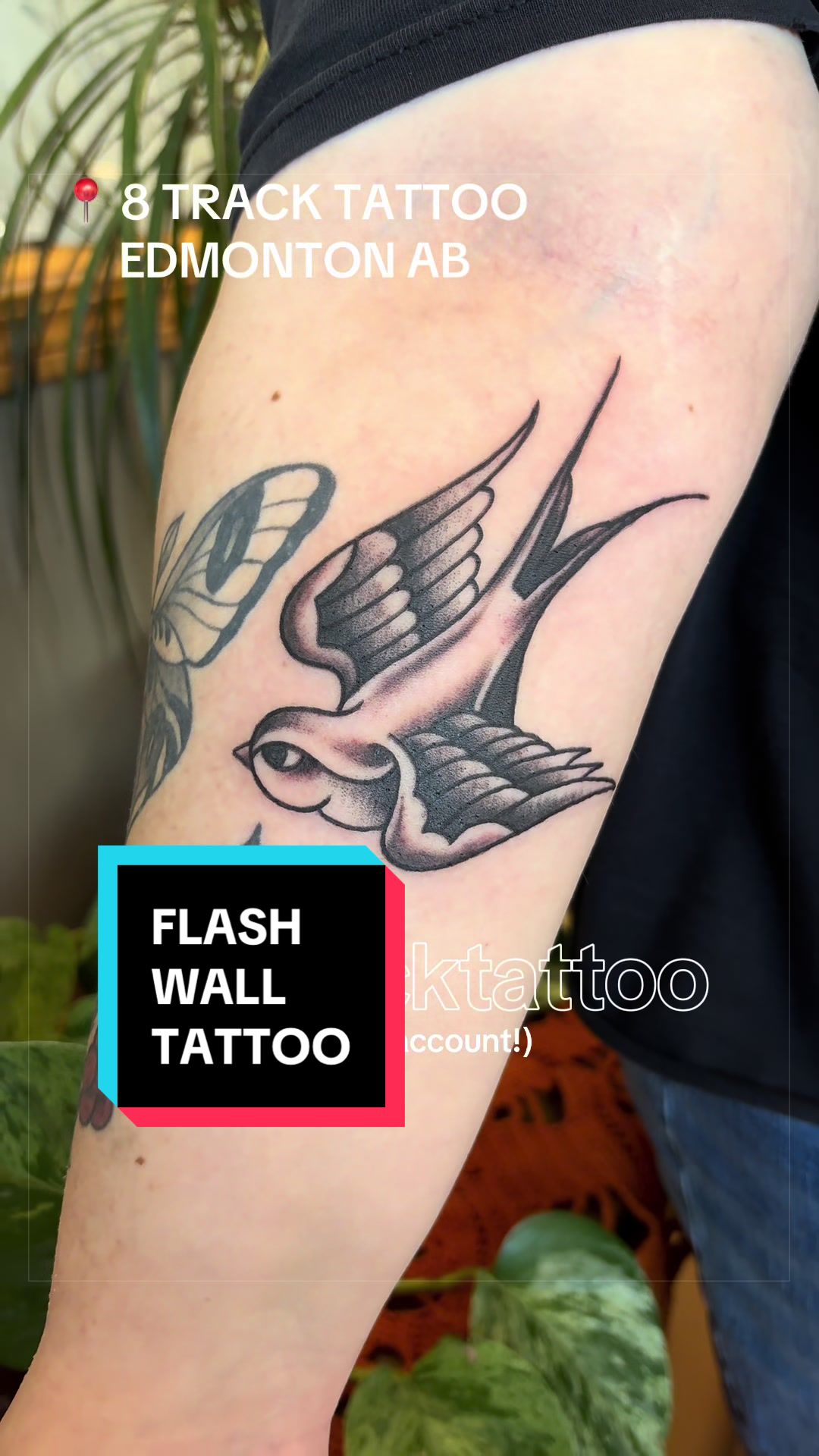 @8 TRACK TATTOO