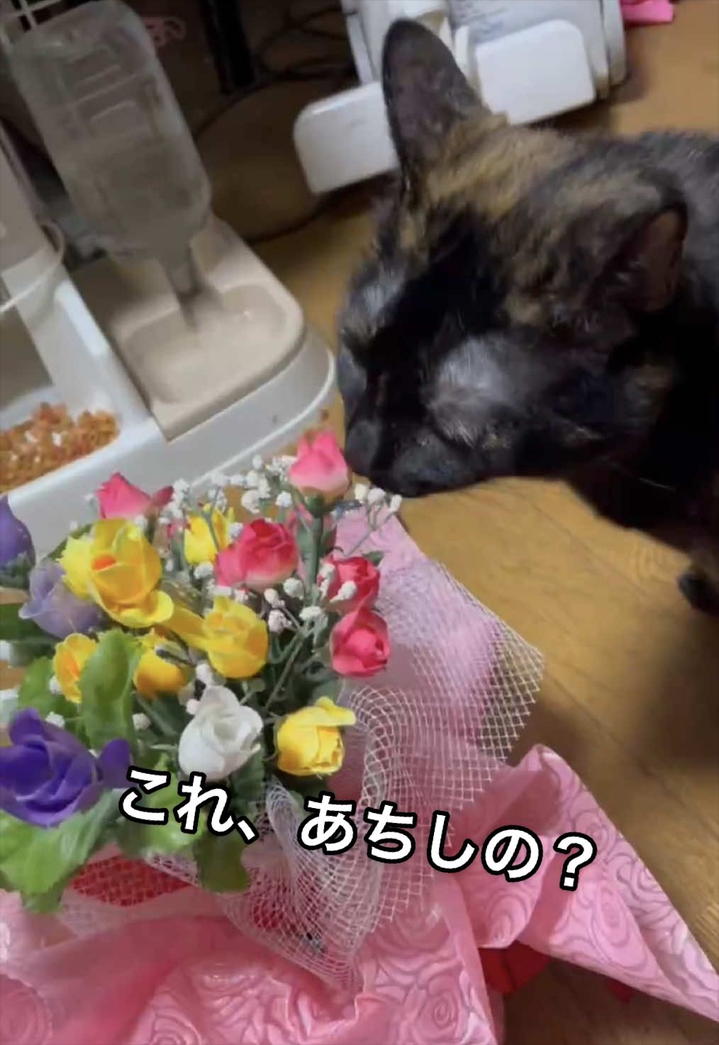 @聴々物語PROJECT