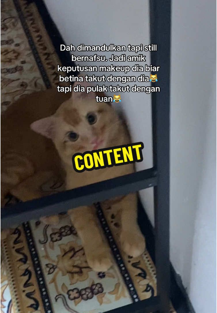 @NurHusna