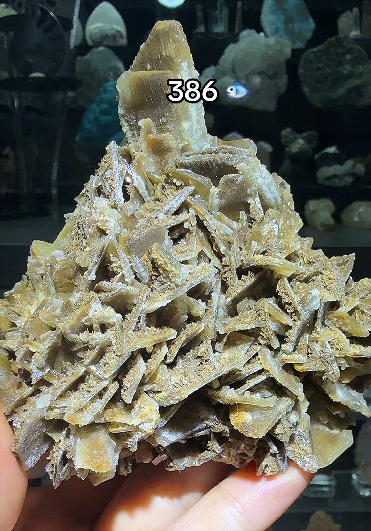 @Halen Crystal