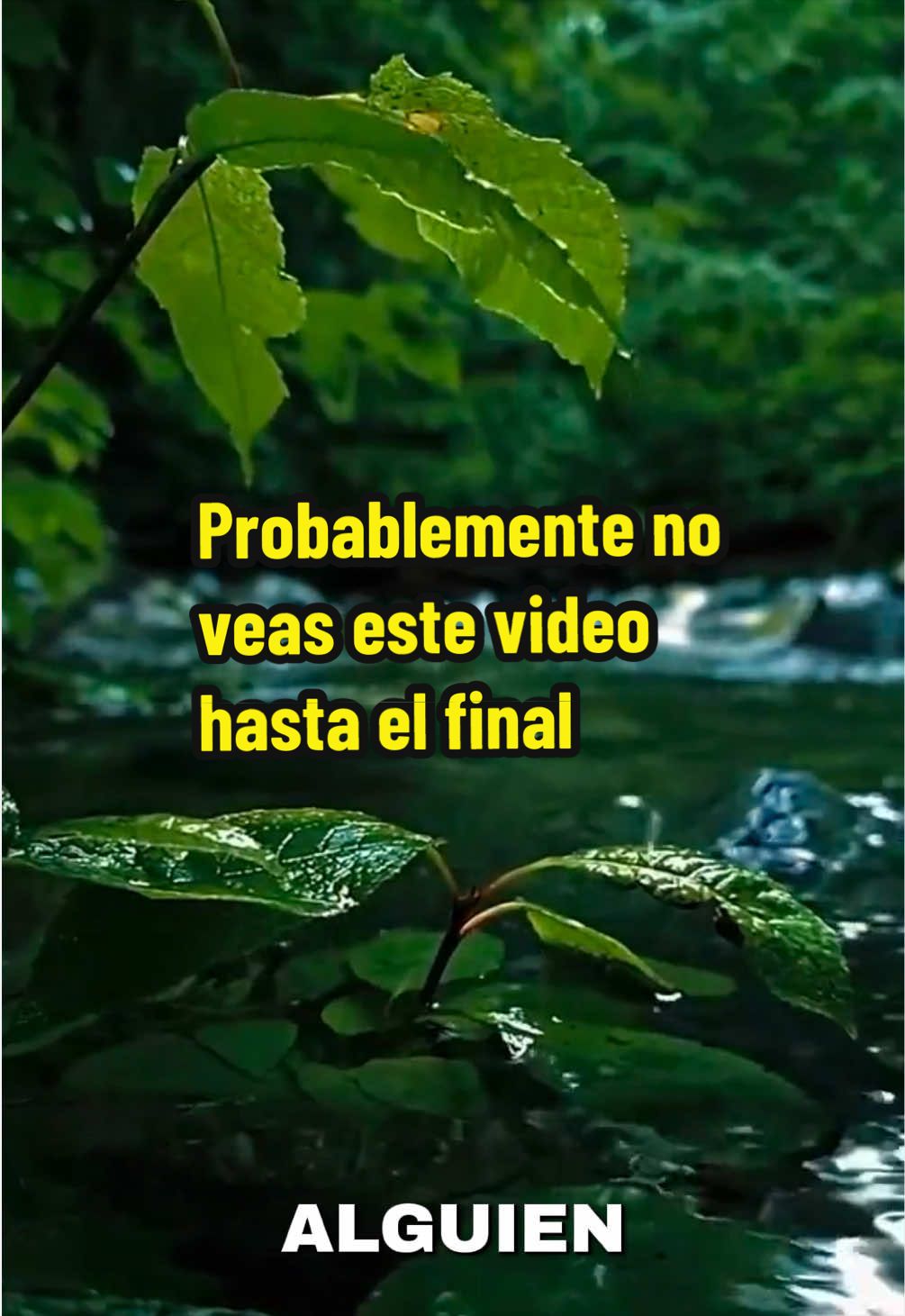 @Babi Guzmán