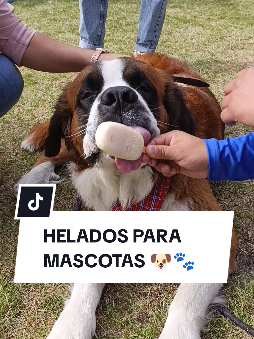 @Doggy Cream