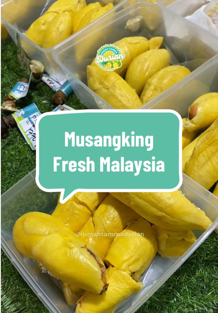@Rumah Tamma Durian