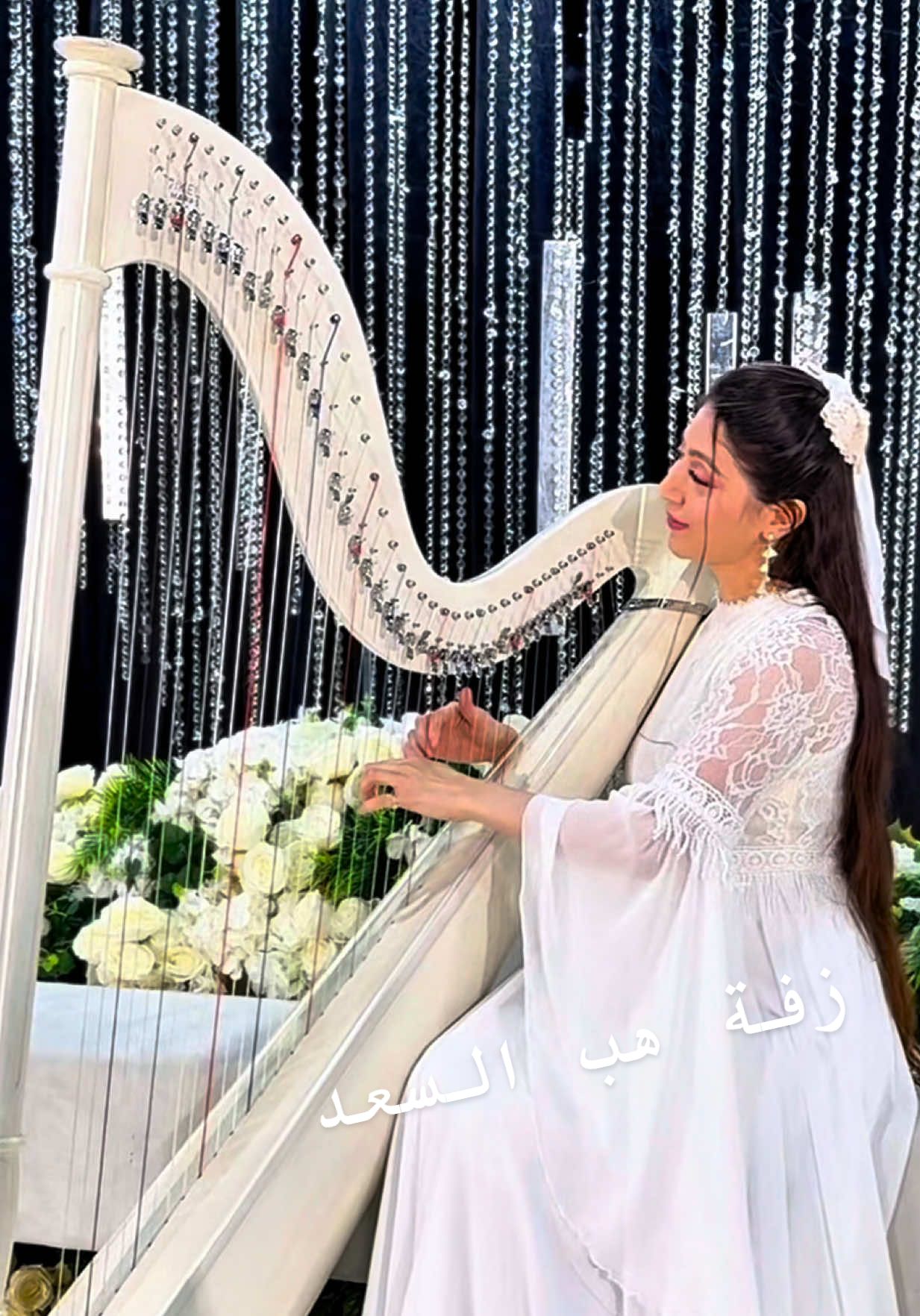 @harp.ae
