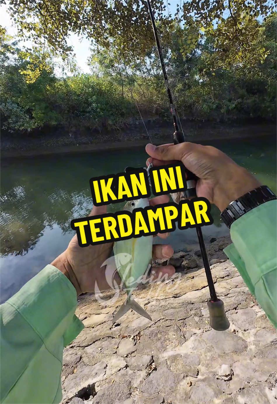 @Sleding Tackle