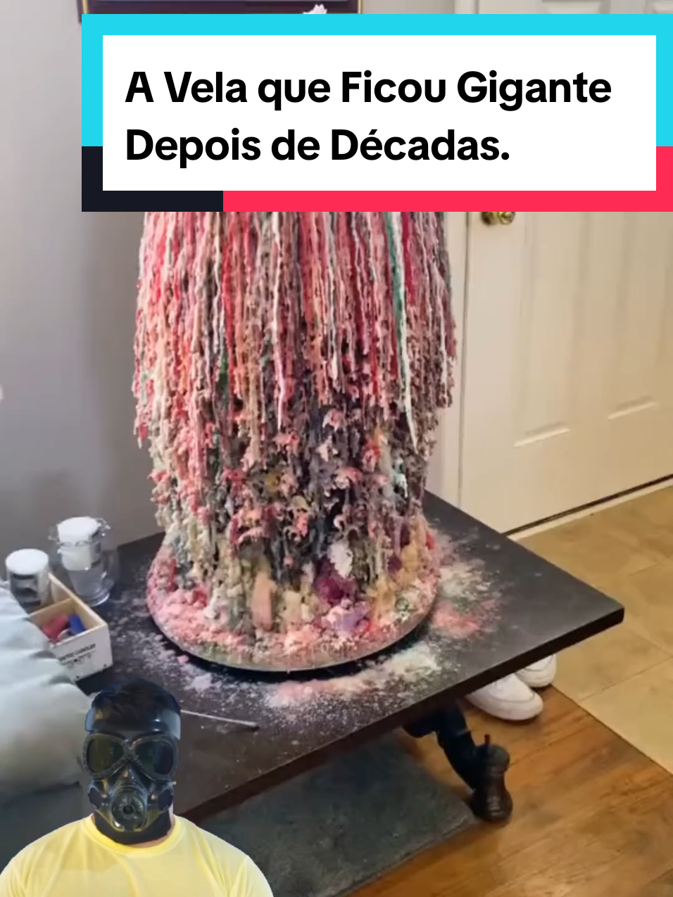 @Mundo da Curiosidades