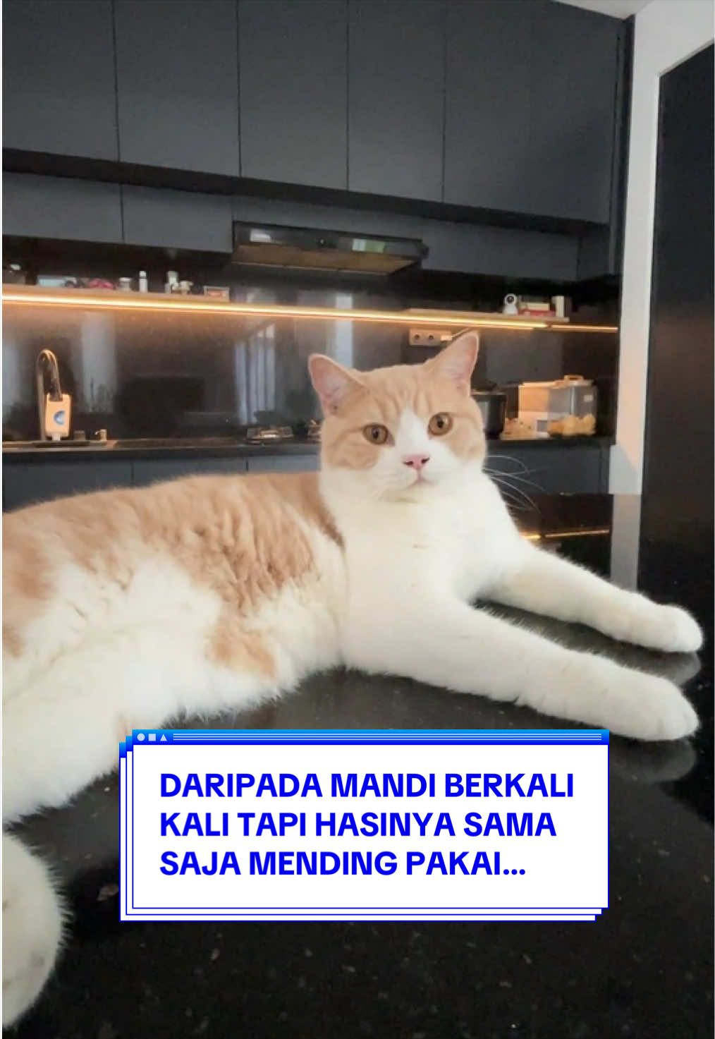 @Pororo Official