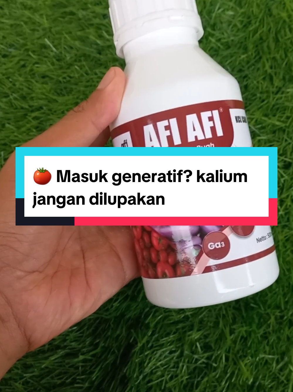@Nuansatani TV