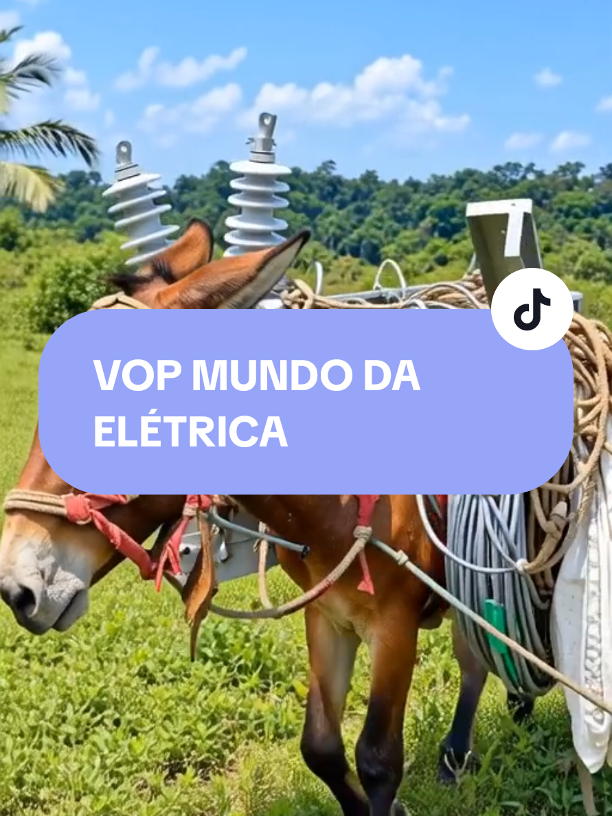 @VOP MUNDO DA EL&Eacute;TRICA Valdinei