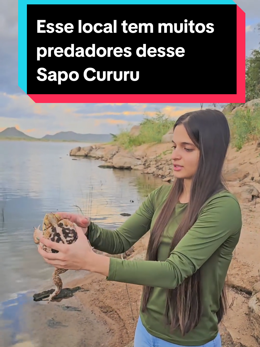 @Princesa das Serpentes