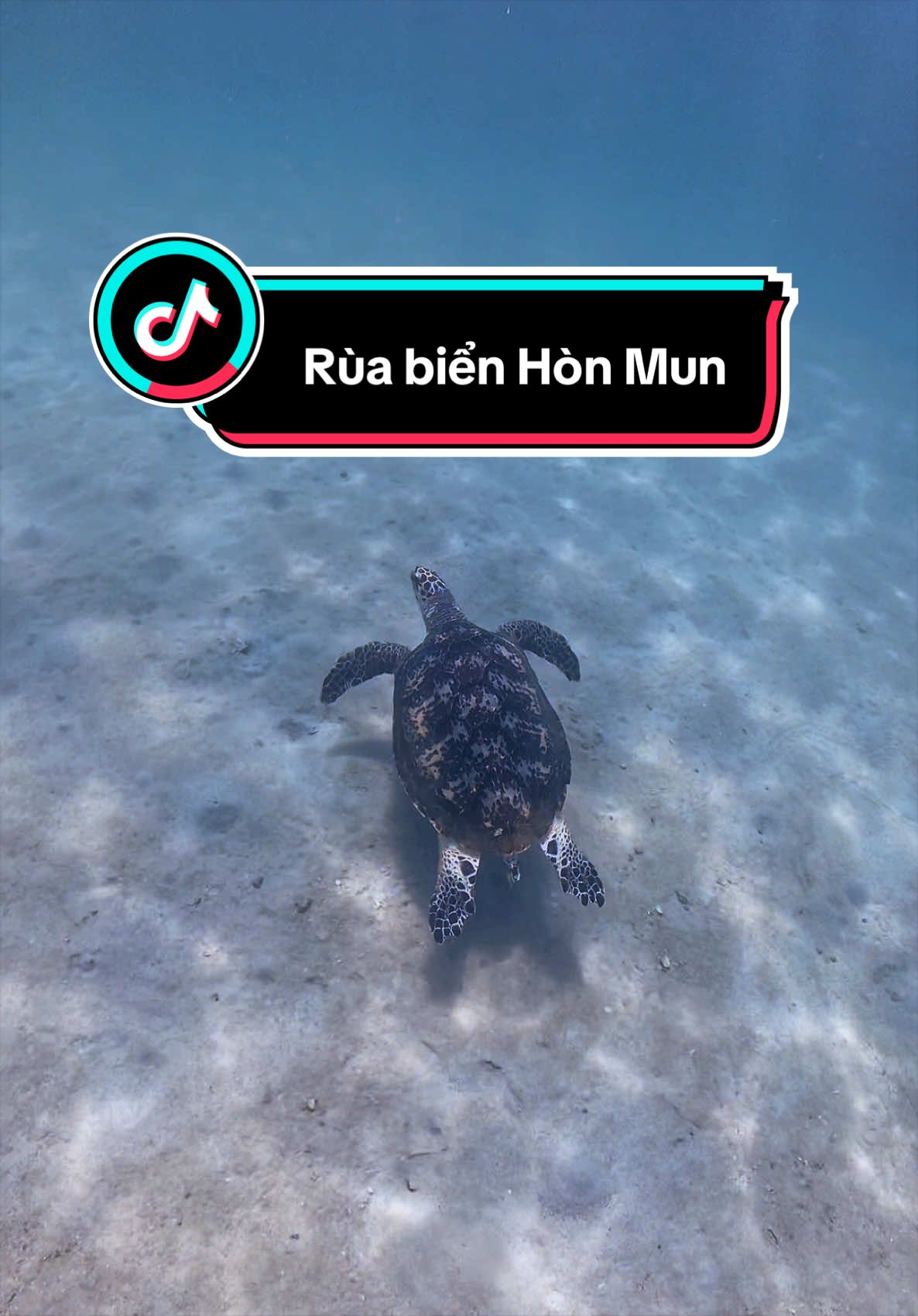 @Love Freediving Nha Trang