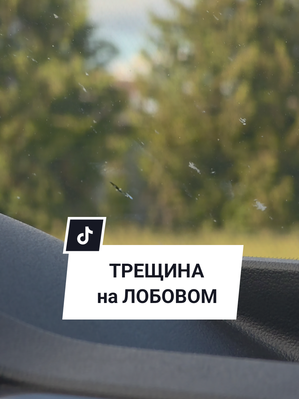 @Аня Бобруйск