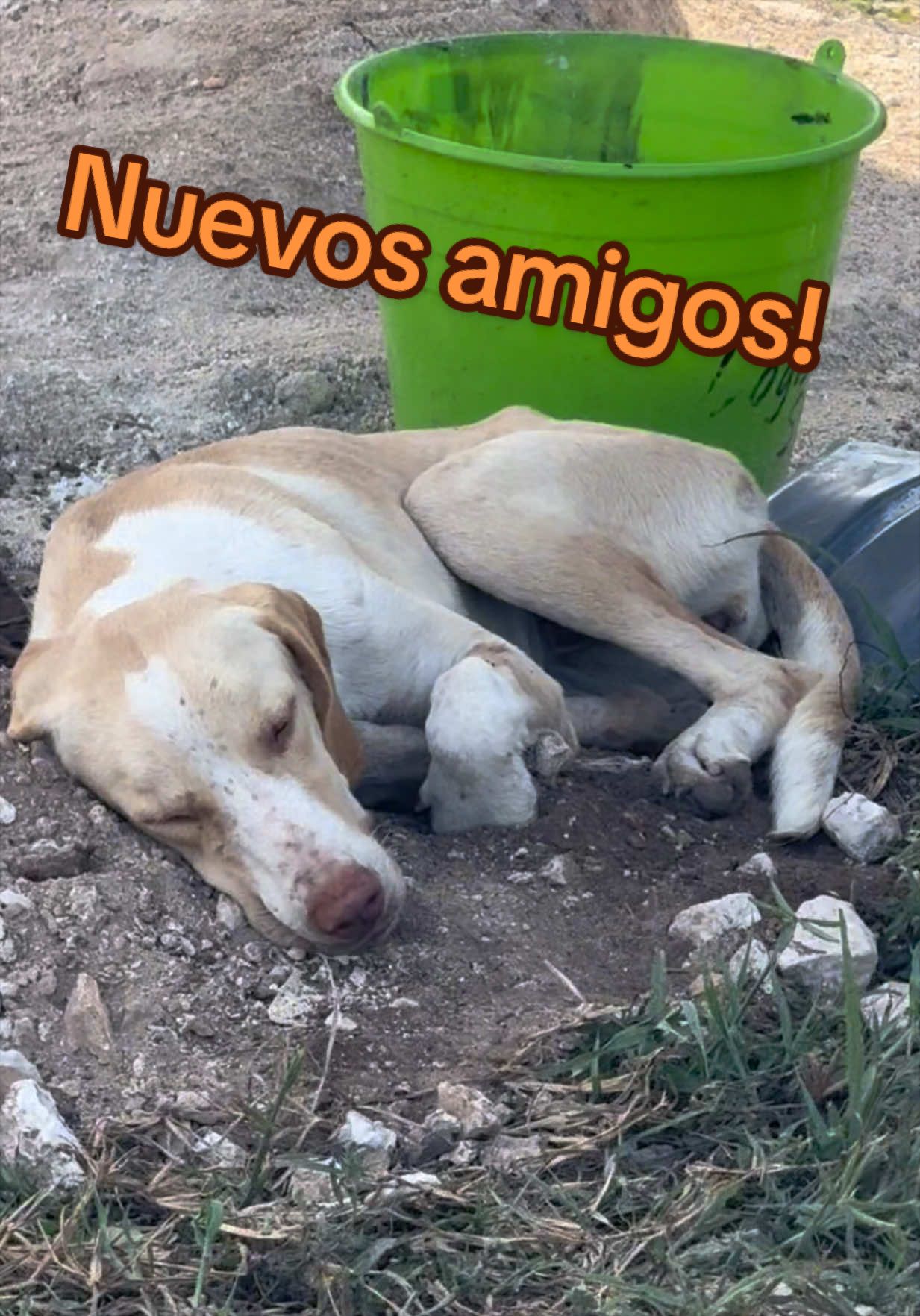 @José Ramón Medina