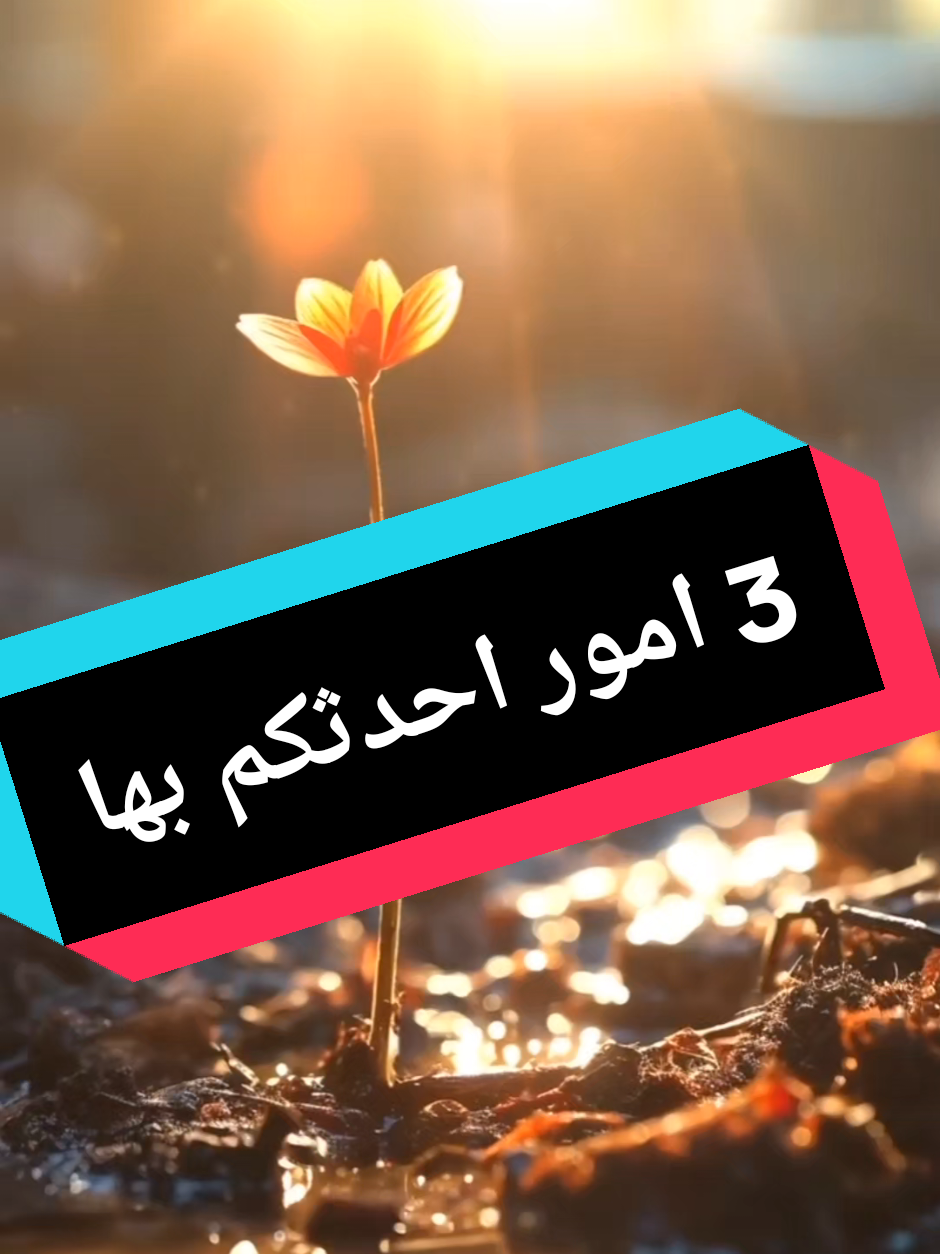 @مشروعك جاهز مع علي عبد الباقي