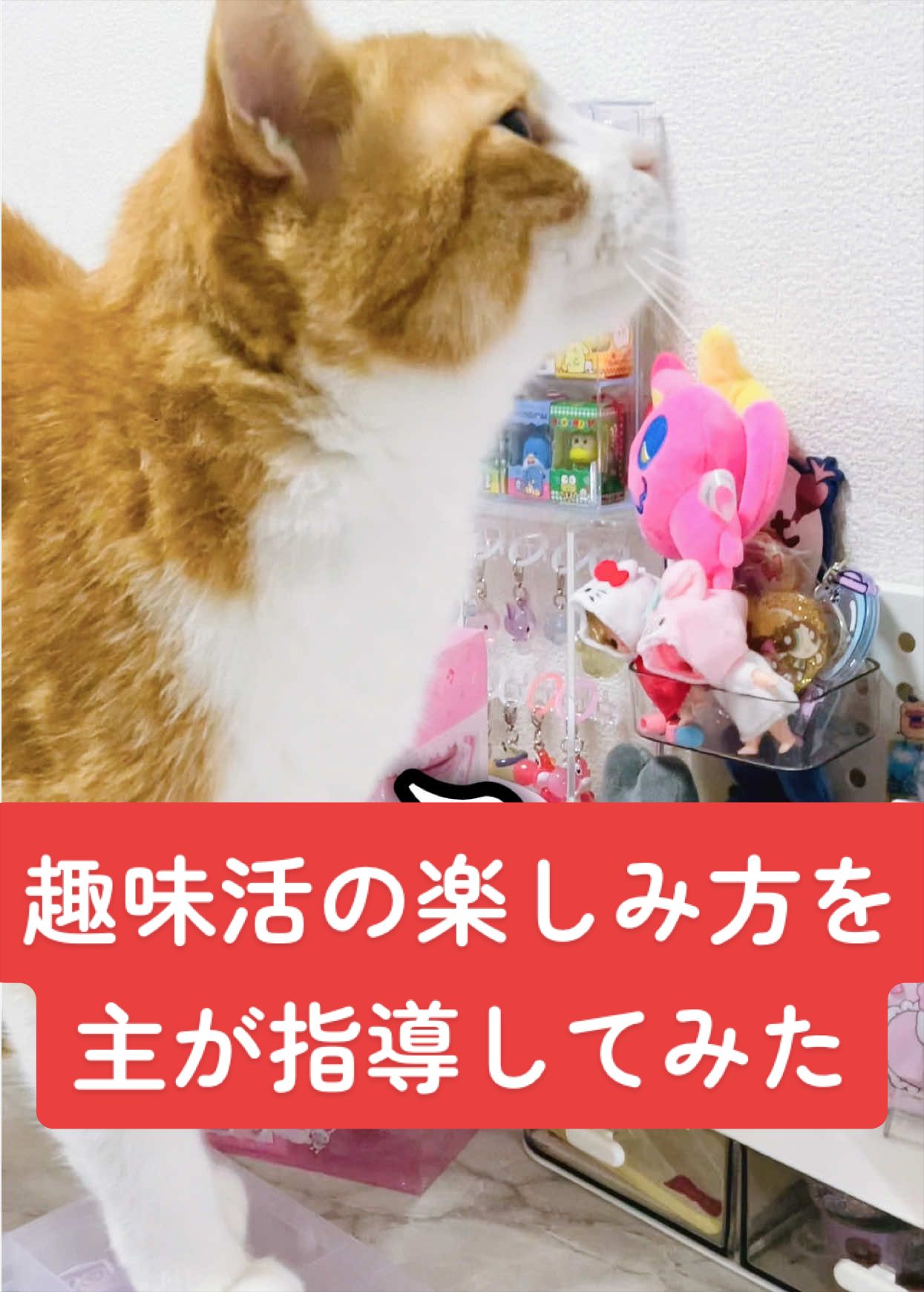 @みーこchannel