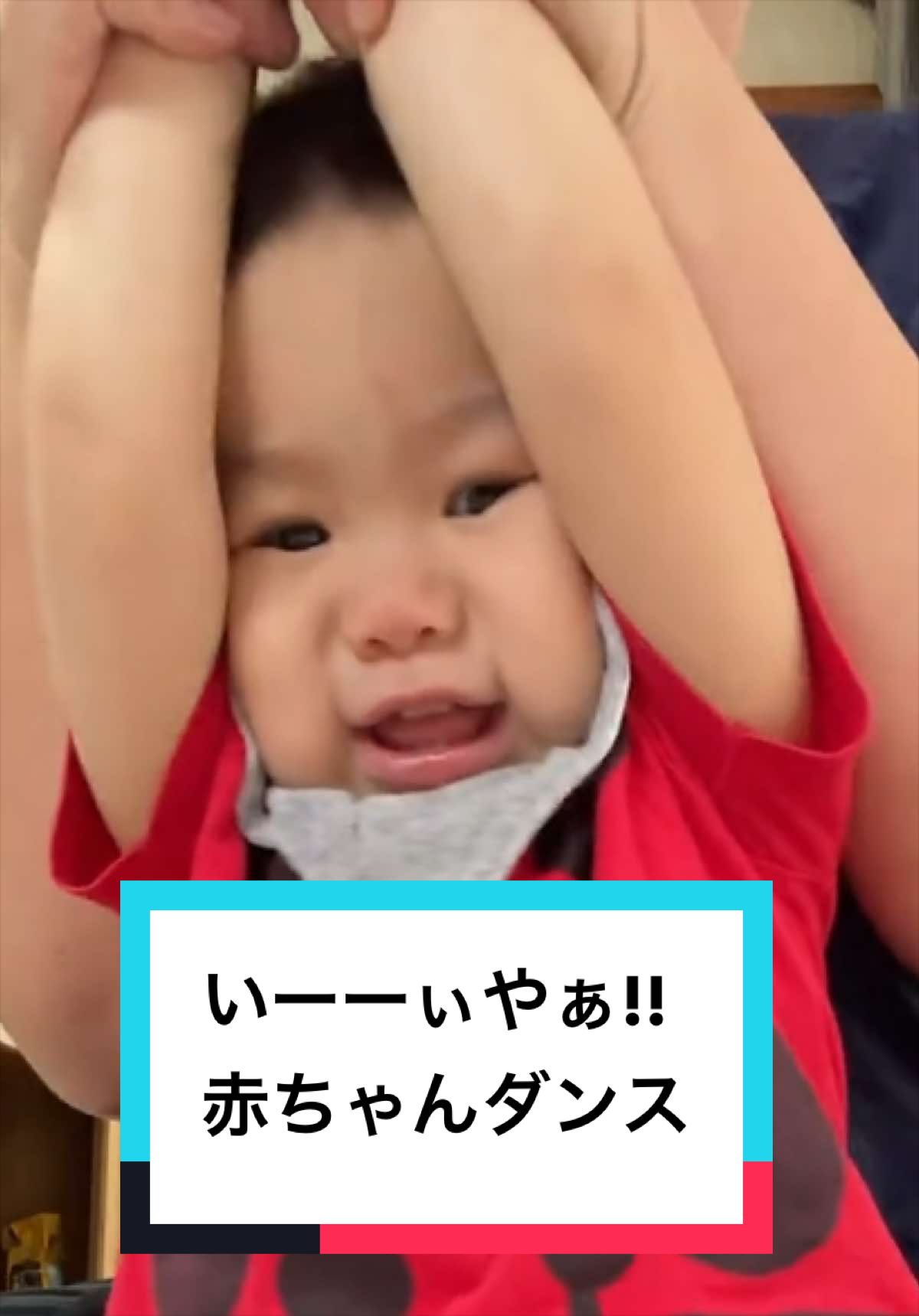 @とらままんち