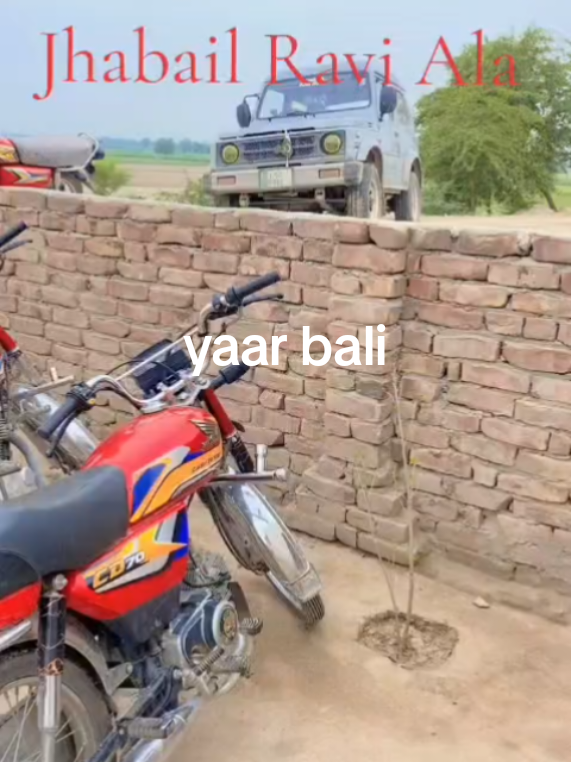 @shahbaz Punjabi 0786