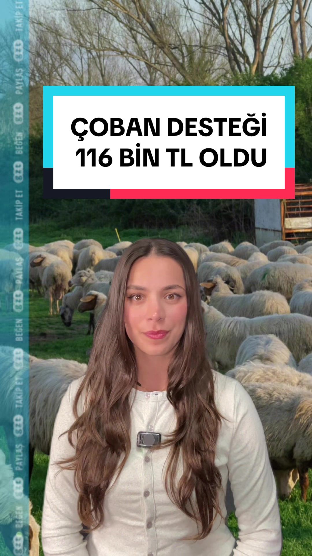 @gzt