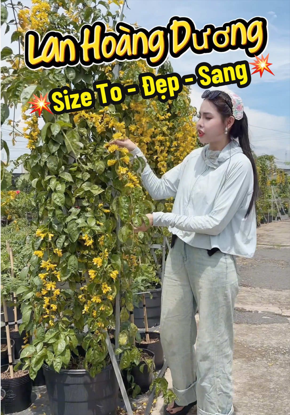 @Tiệm Lá Nhỏ